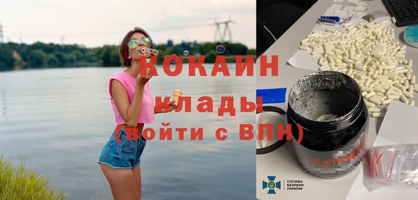 кокс Алексин