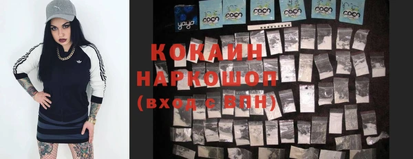 ГАЛЛЮЦИНОГЕННЫЕ ГРИБЫ Покачи