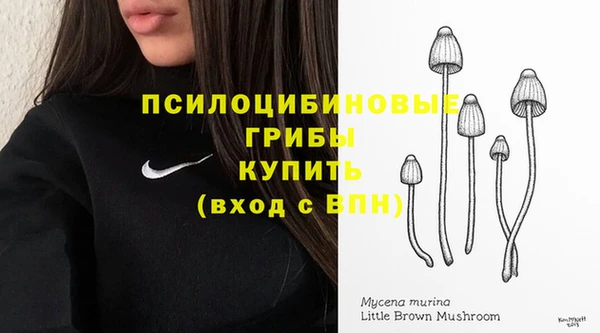 jwh Алзамай