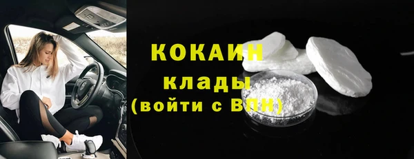 кокс Алексин