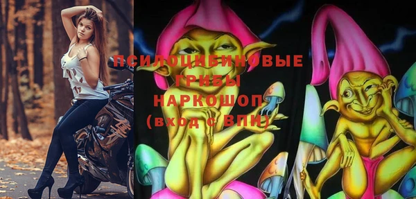 кокс Алексин