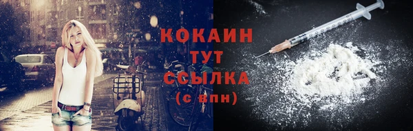 кокс Алексин